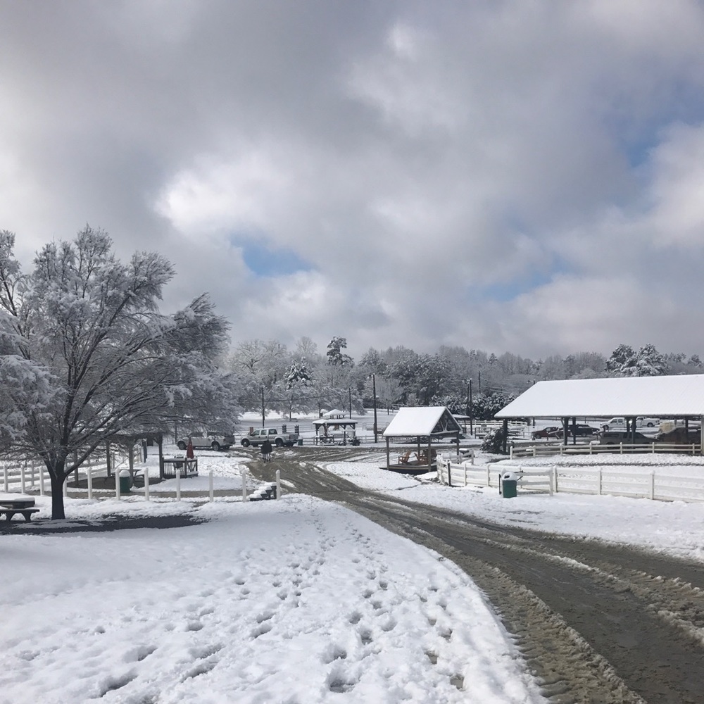 Meet your Posher, Cayman